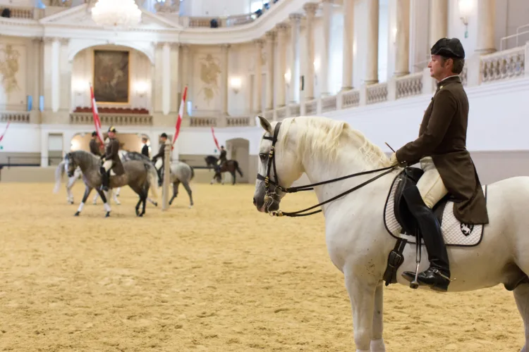 Two riders working their Lipizzaners during the morning exercise
