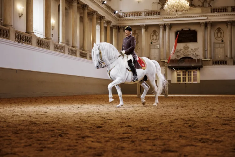 Schools on the ground in the Winter Riding School