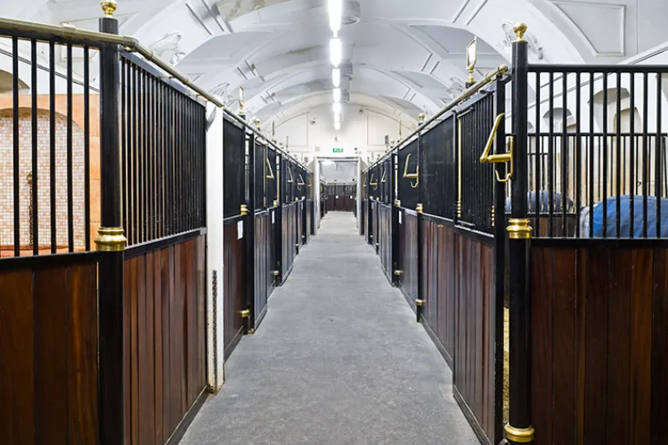The stable aisle of the Stallburg, boxes of the Lipizzaners either side