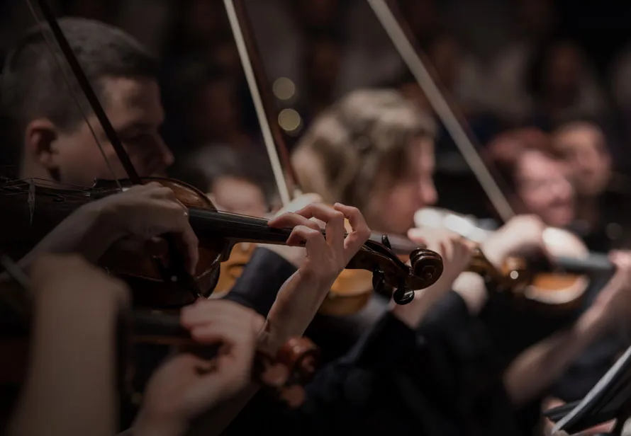 Violins of the Wiener Royal Orchester, mid-concert.
