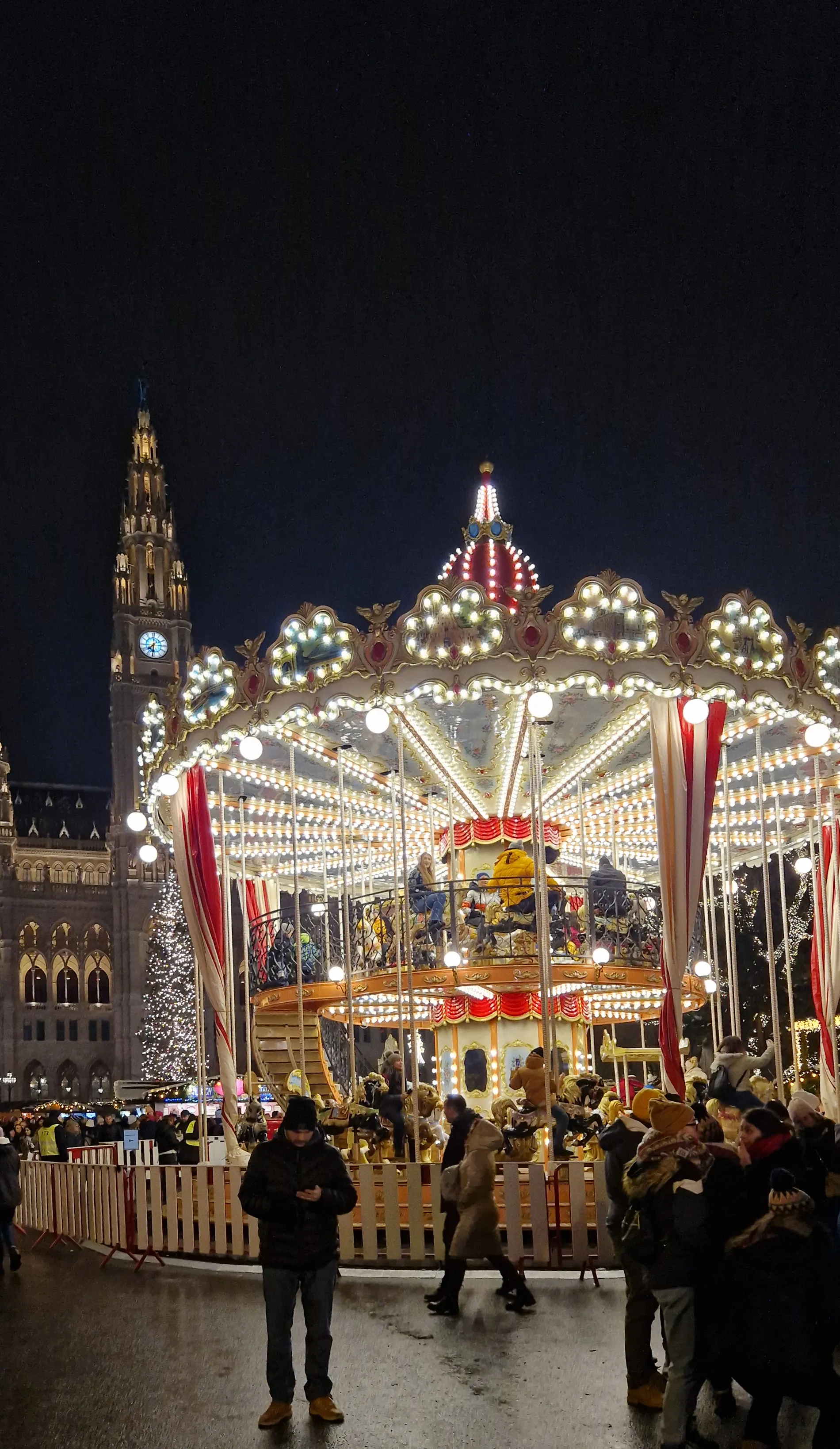 The carousel of the Christmas market on Rathausplatz lit after dark, the Rathaus tower behind it.